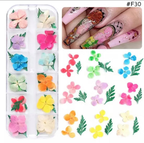 Dried Flowers Decor