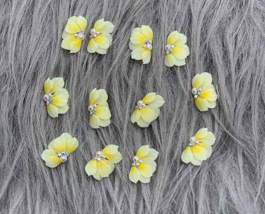 3D Acrylic Flowers /PF9