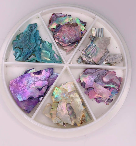 3D Color - changing Abalone Natural Sea Shell Nail Art