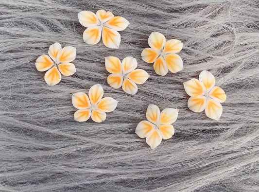 3D Acrylic Flowers /PF53