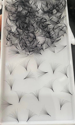12D/ 0.05 LOOSE PRO-MADE /500FANS
