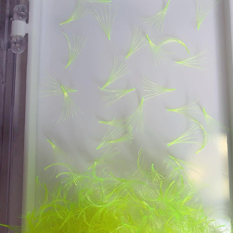 COLOUR LOOSE PRO-MADE FANS/ LIME