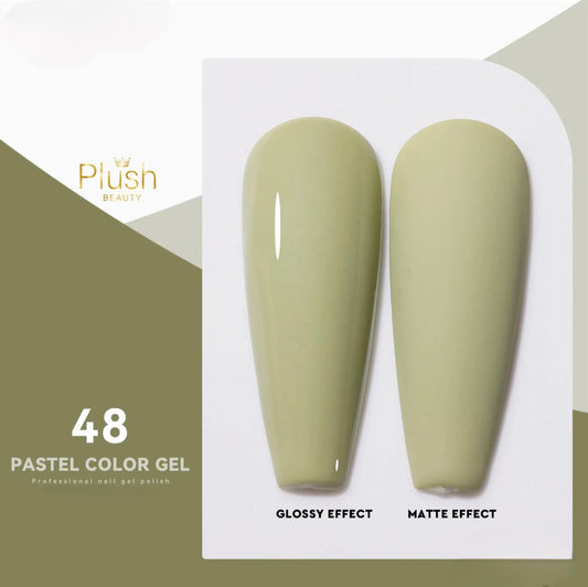 GEL POLISH - P48 ANTEEVY